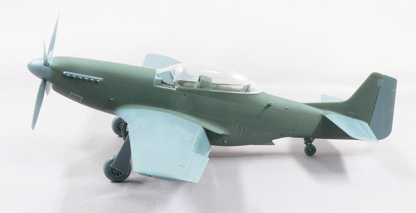 TF-51D-25NA (TEMCO) Air National Guard conversion set for Eduard kit P-51D 1/48 scale