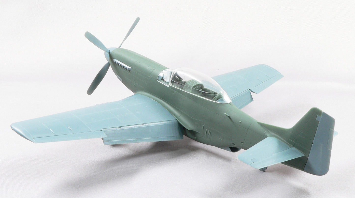 TF-51D-25NA (TEMCO) Air National Guard conversion set for Eduard kit P-51D 1/48 scale