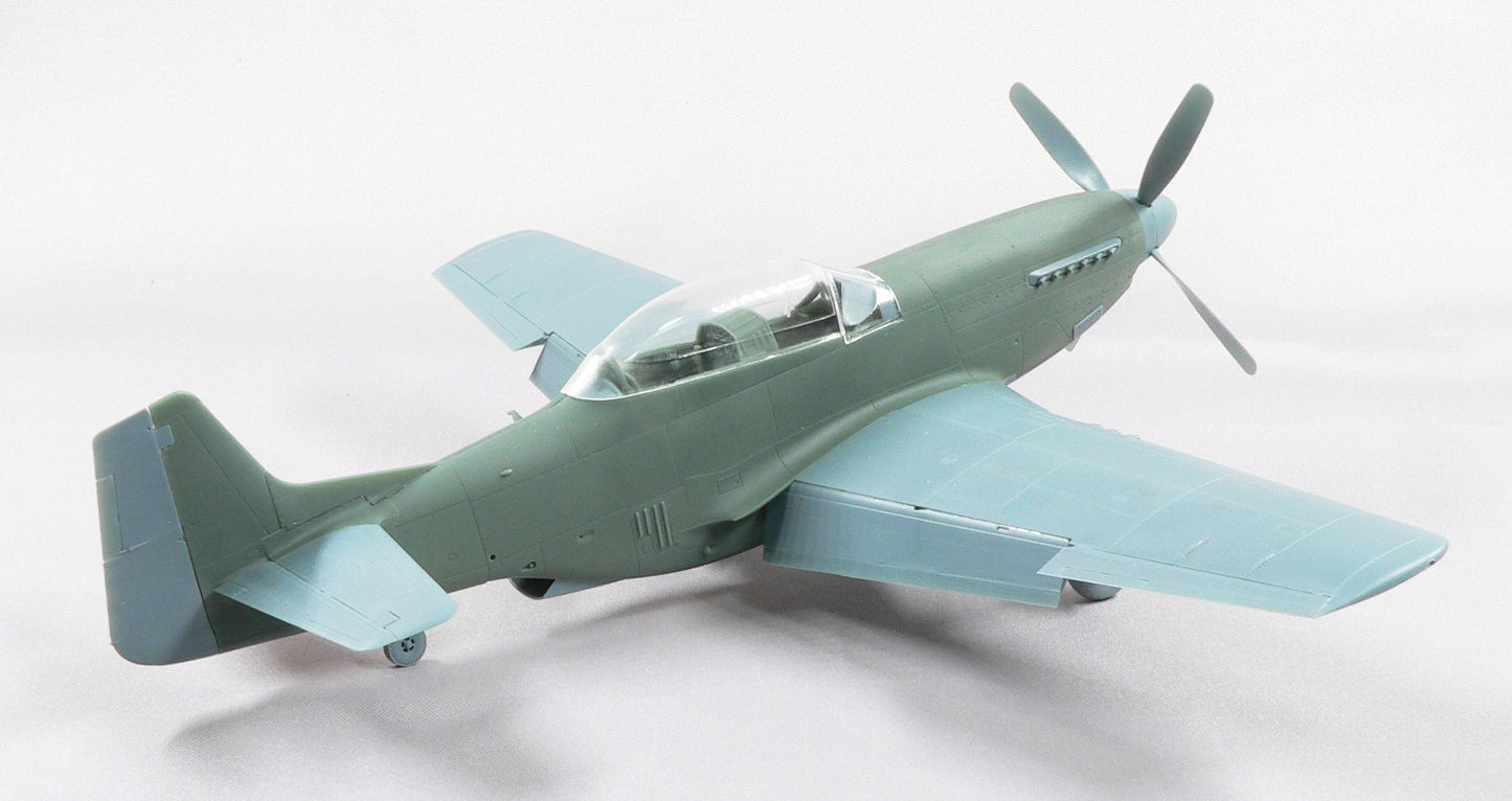 TF-51D-25NA (TEMCO) Air National Guard conversion set for Eduard kit P-51D 1/48 scale